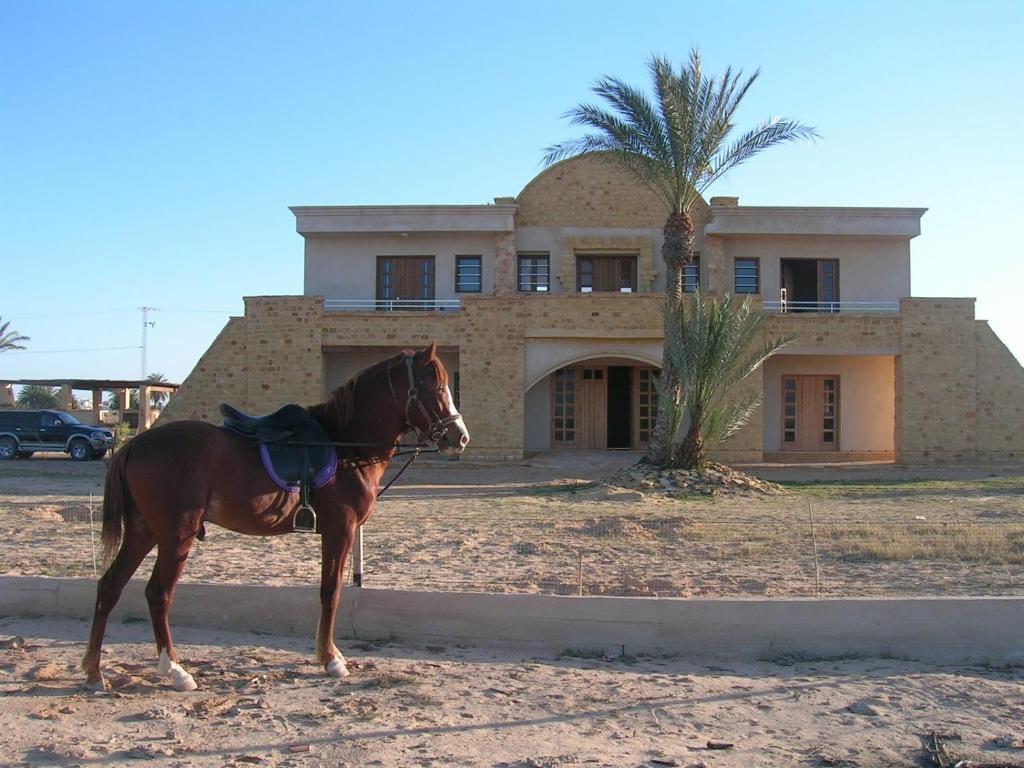 Bella Djerba Hotel Houmt Souk  Exterior foto